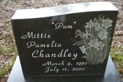 Mittie Pamelia Chandley