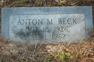 Anton M Beck
