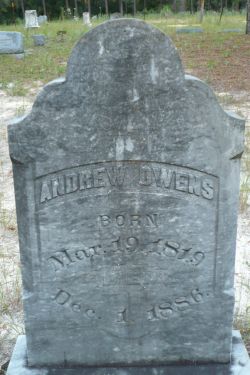 Andrew Owens