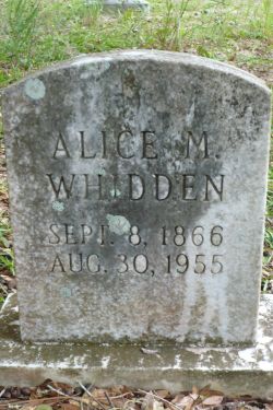 Alice M Whidden