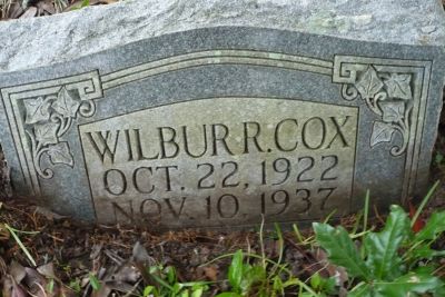 Wilbur R Cox