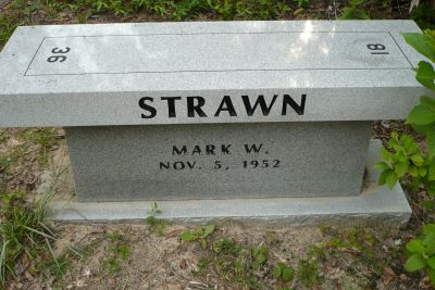 Mark W Strawn